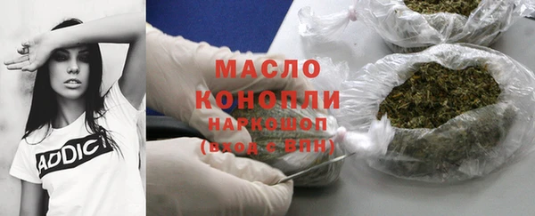 гидра Михайловка