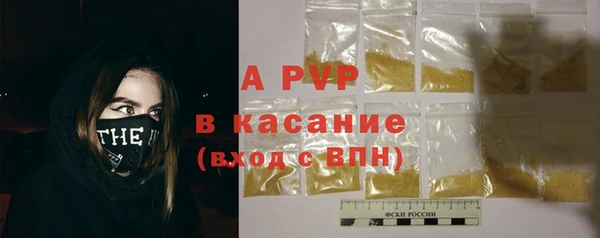 эйфоретик Гусев