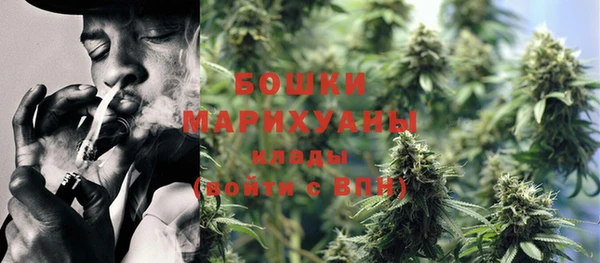 эйфоретик Гусев