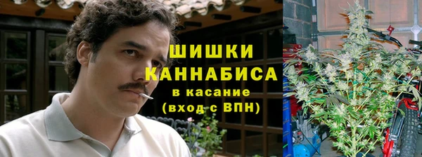 гидра Михайловка